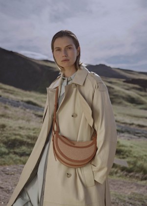Polene Numéro Dix Women's Bags Beige | 850-CNTOKG