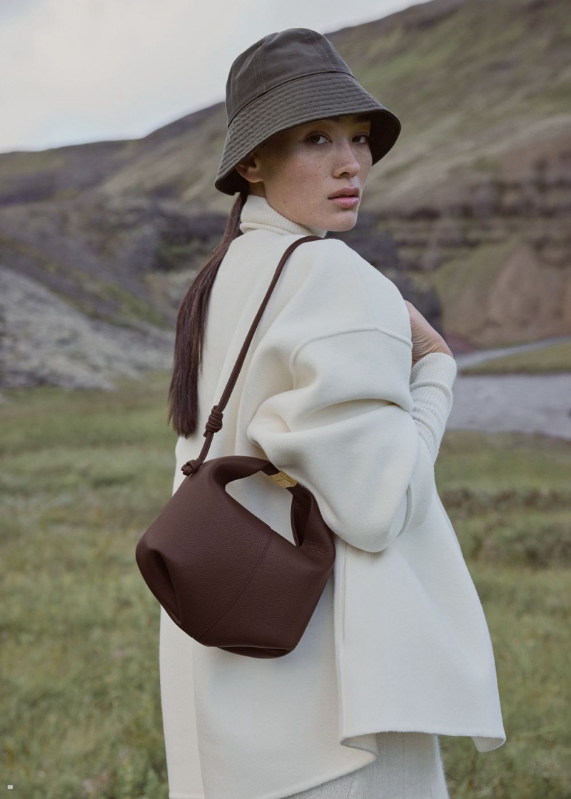 Polene Béri Women's Bags Dark Brown | 975-QIRSEA