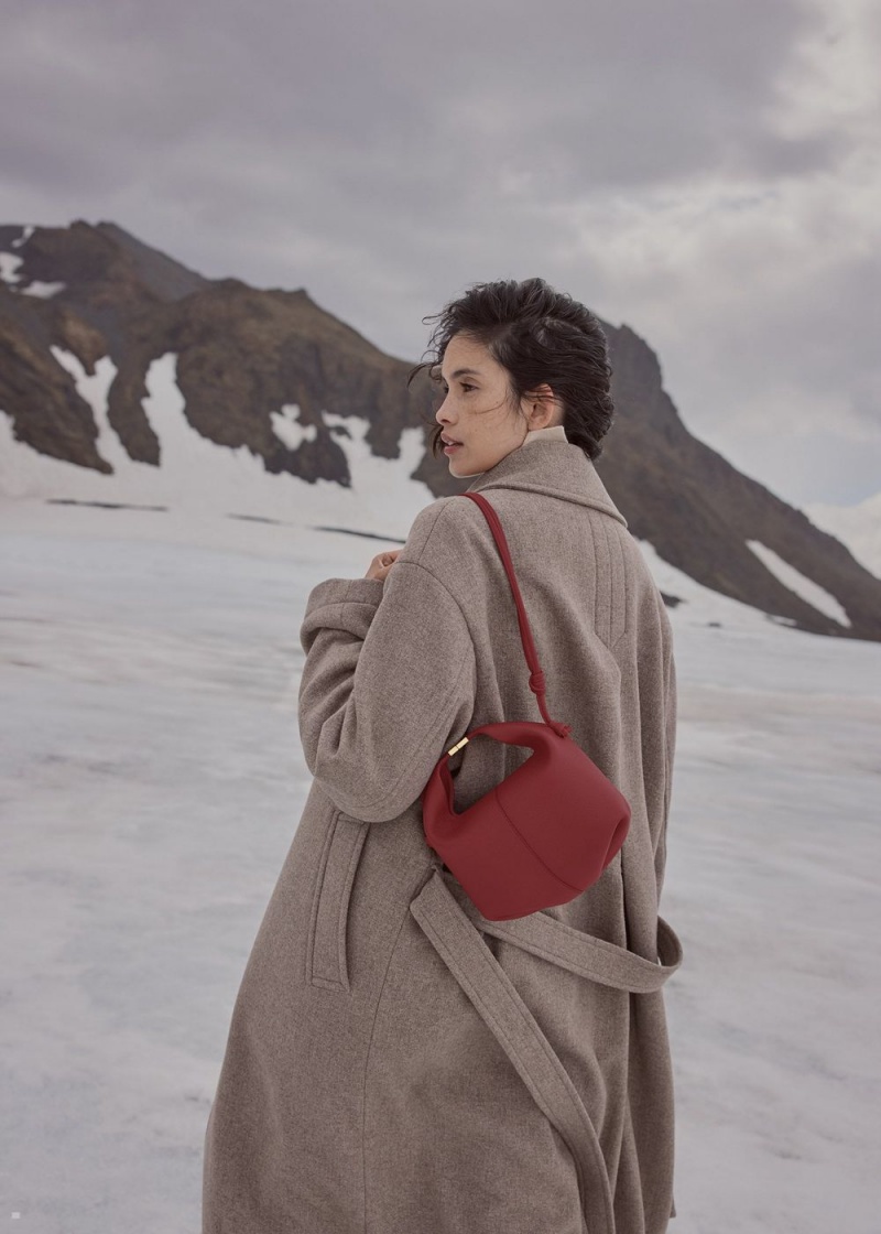 Polene Béri Women's Bags Red | 246-JXUIGD