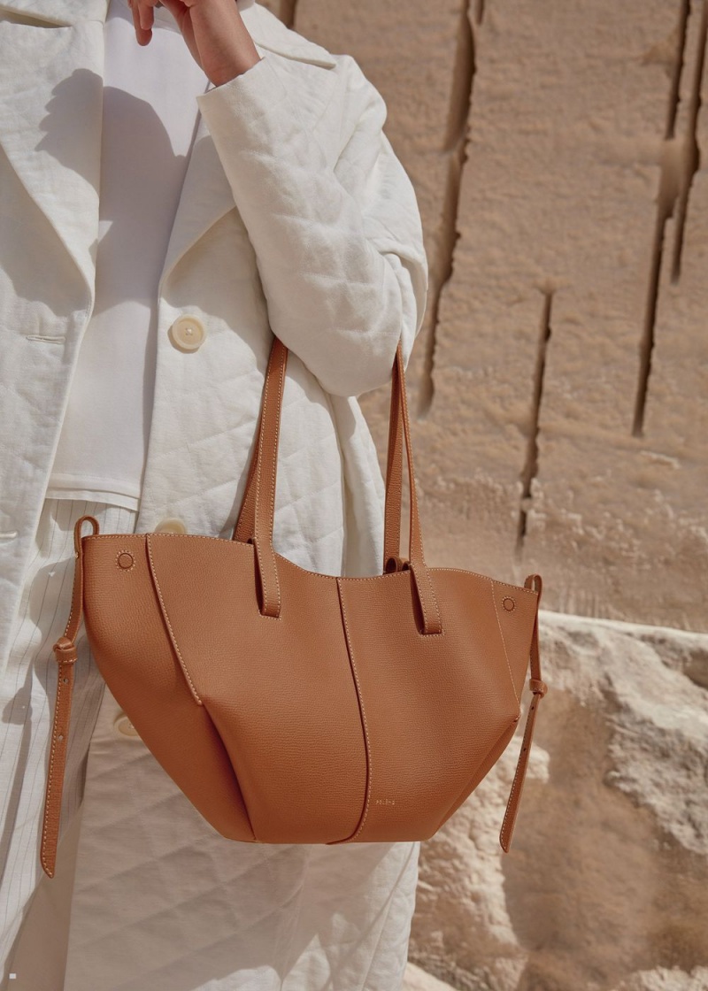 Polene Cyme Mini Women's Bags Brown | 520-JISPDE