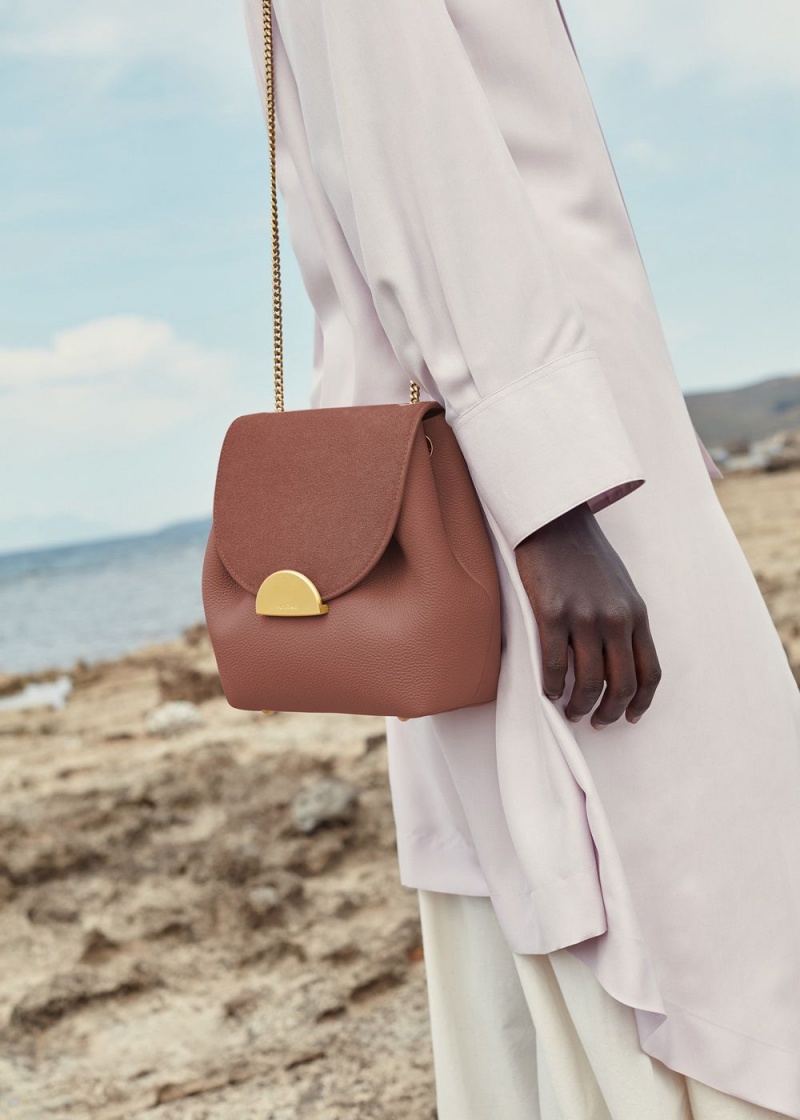 Polene Numéro Un Mini Women's Bags Brown | 650-SLZFKW