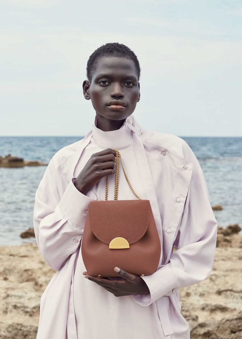 Polene Numéro Un Mini Women's Bags Brown | 650-SLZFKW