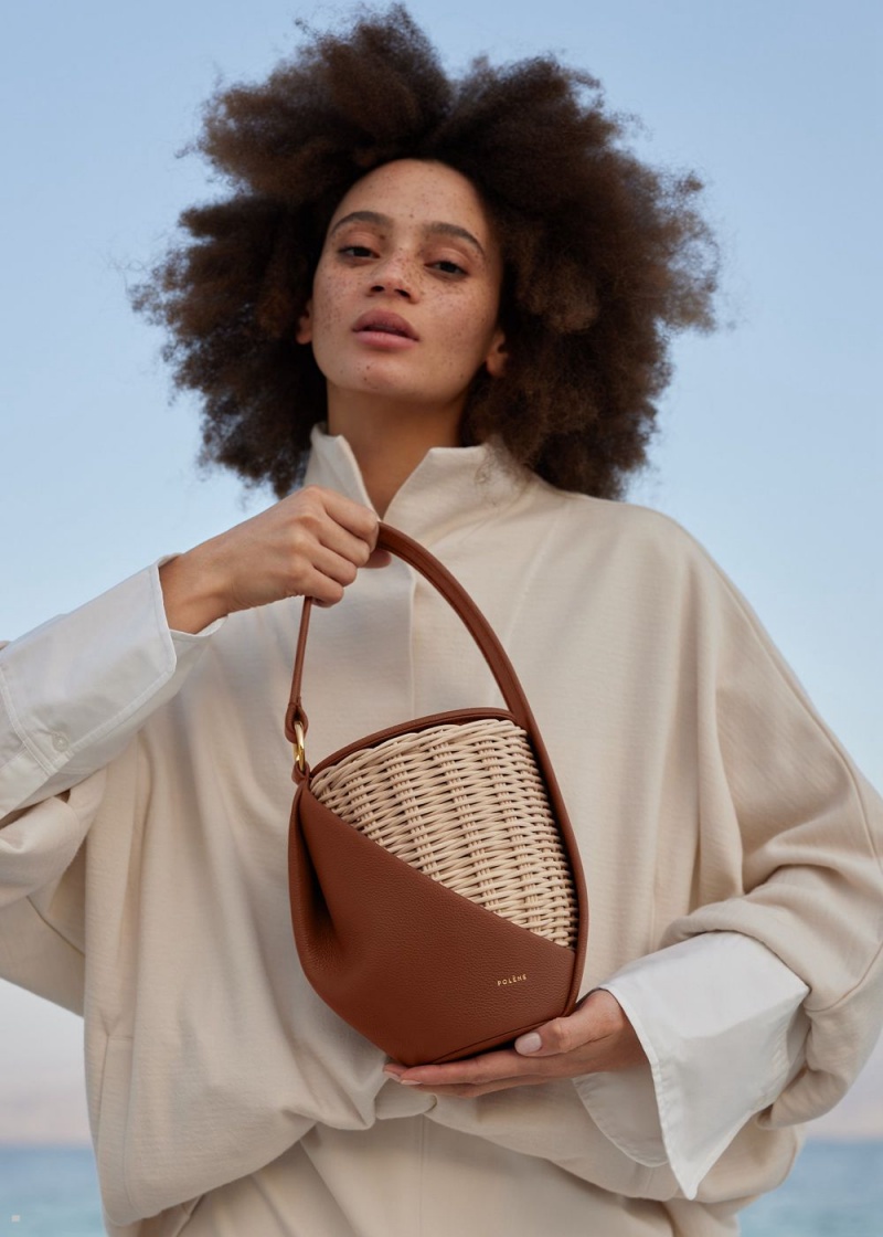Polene Yké Women's Bags Dark Brown | 541-RFSBXE